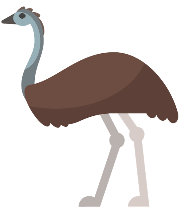 emu-cartoon-australian-wildlife - FAWNA Inc.